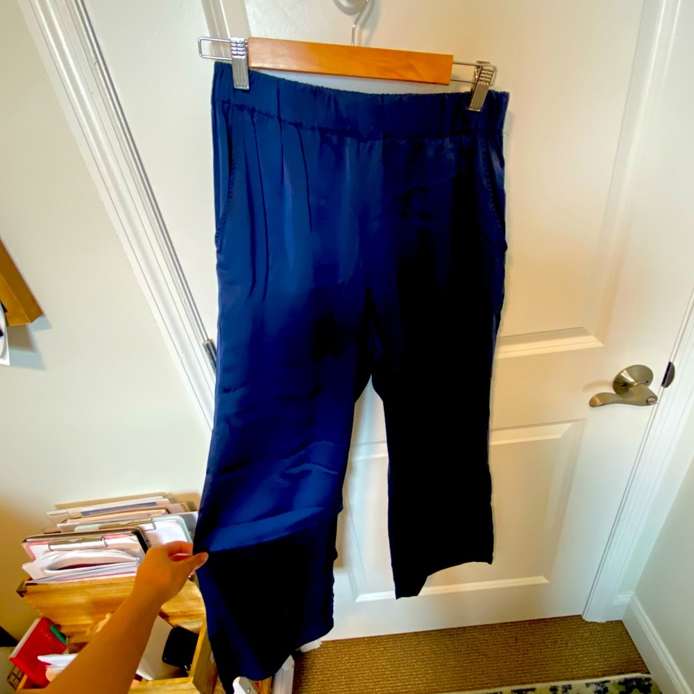 Anine Bing silk pant